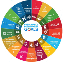 UN Sustainable Development Goals Implementation